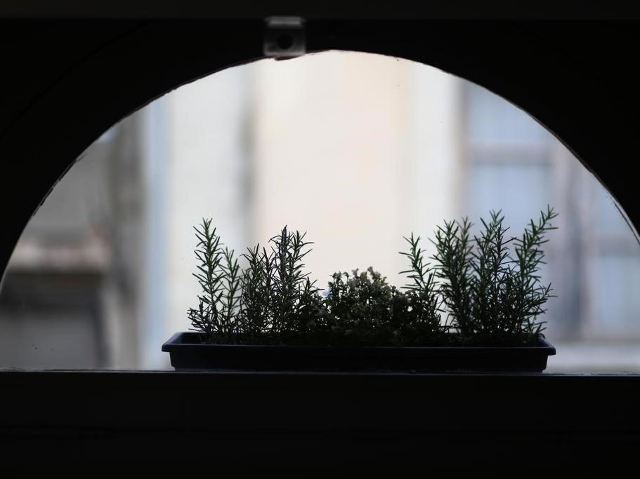 Le Relais De La Maison Bacou Carcassonne Dış mekan fotoğraf